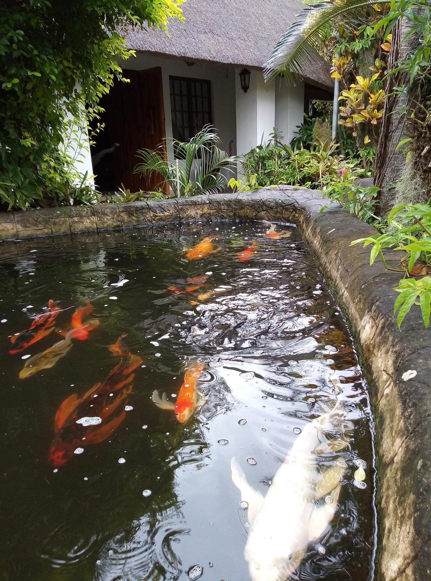 African Ambience Guest House Saint Lucia Estuary Εξωτερικό φωτογραφία