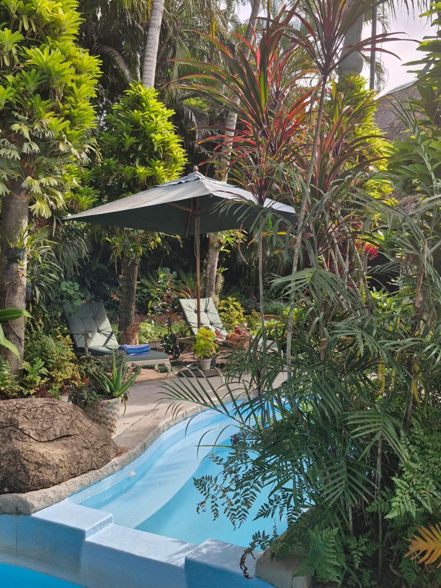 African Ambience Guest House Saint Lucia Estuary Εξωτερικό φωτογραφία