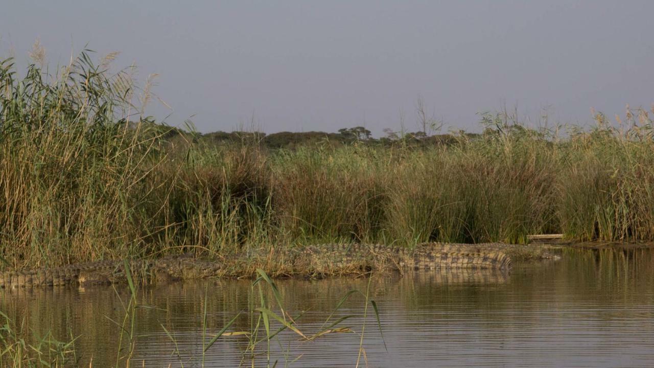 African Ambience Guest House Saint Lucia Estuary Εξωτερικό φωτογραφία